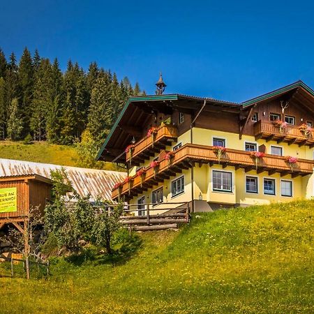 Hinteregghof Villa Forstau  Exterior foto